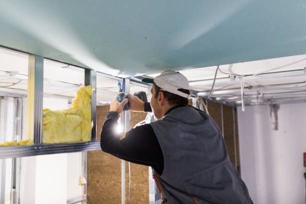 Best Wall Insulation Contractor  in Trinidad, CO