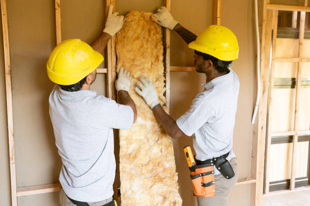 Best Insulation Replacement Services  in Trinidad, CO