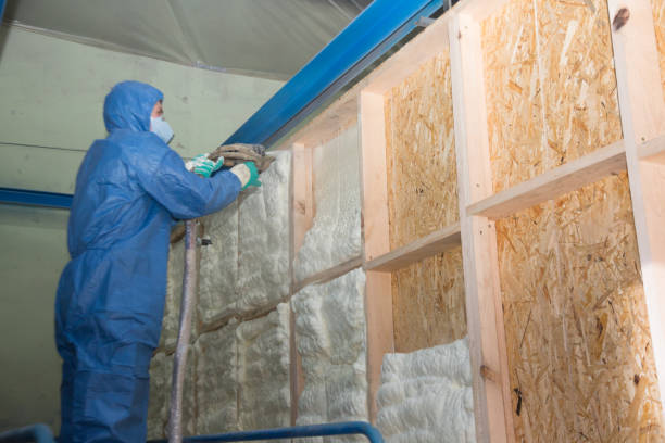 Best Home Insulation Services  in Trinidad, CO